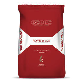 Dog Health Supplement